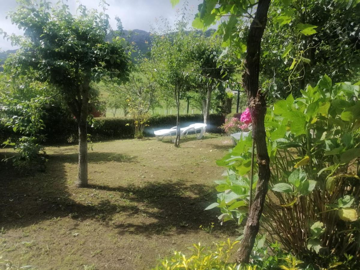 Apartamentos Casa Rural La Quintana Inguanzo Arenas De Cabrales Εξωτερικό φωτογραφία